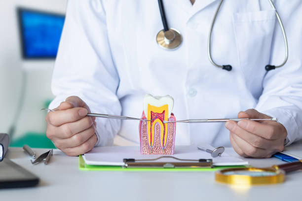 Best Emergency Orthodontic Services in Alton, IL